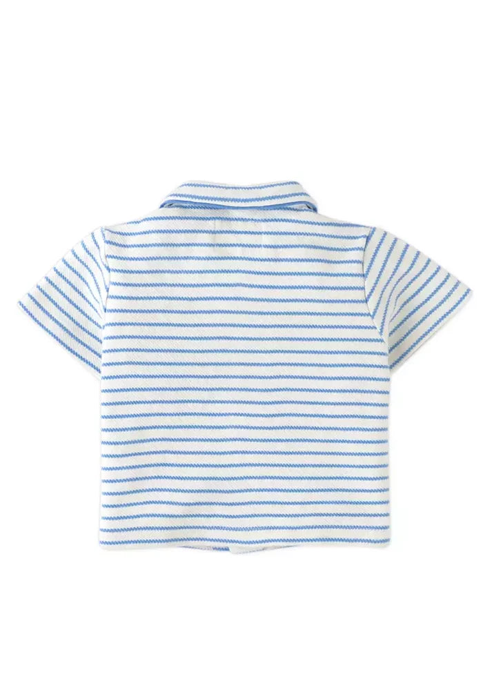 Ben Striped Jersey Resort Polo With Banana & Toucan Embroidery