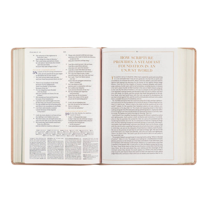 CSB Women's Study Bible: Sonora Theme
