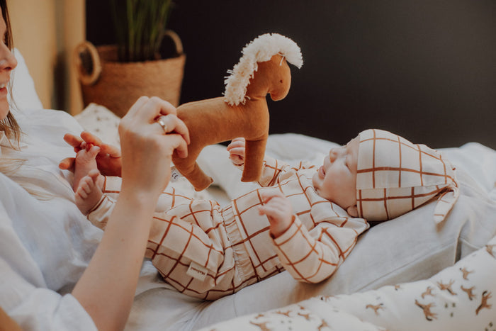 Cuddly Toy/Rattle Horse