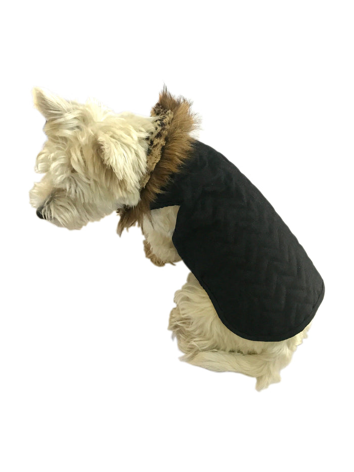 Doggie Denim Coat