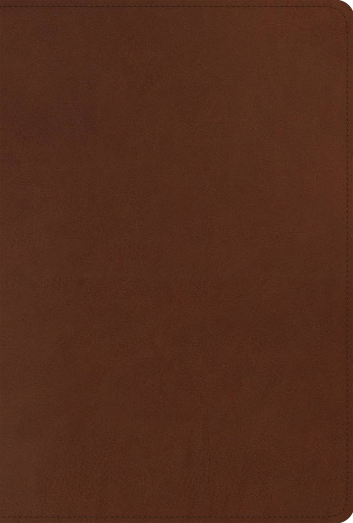 ESV Men's Study Bible (TT, Brown)