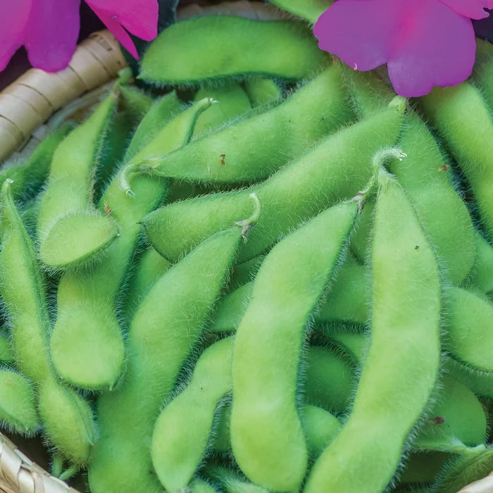 Soybean Oil, Virgin Organic