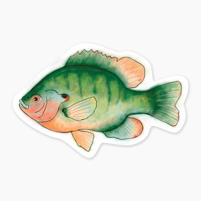 SUNFISH