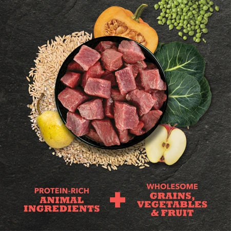 Acana Dry Dog Food Beef & Barley - Dog.Dog.Cat.