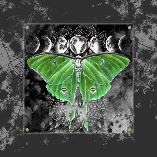 A vibrant green luna moth with detailed wings stands out on a dark, textured background, accented by moon phases and celestial motifs—ideal for a striking personalized banner from Reflections.
