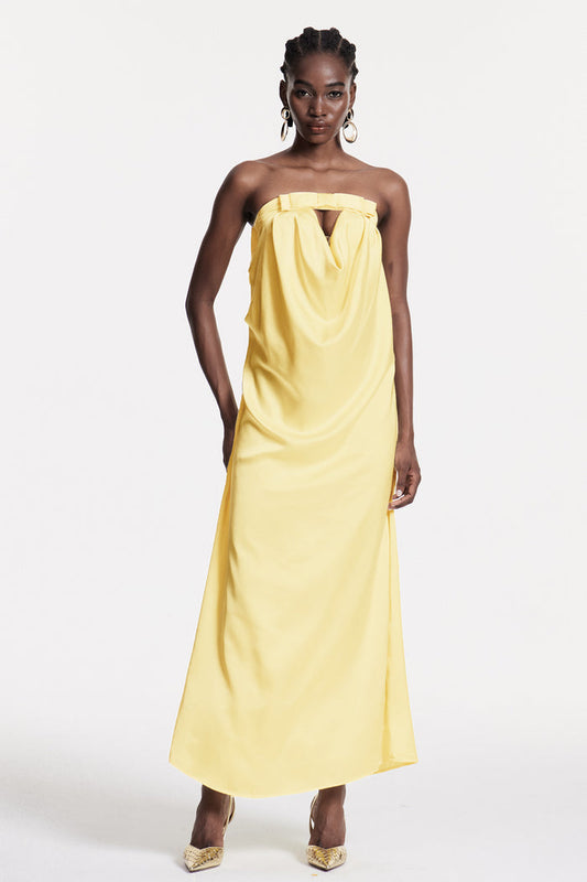 Ashorn Strapless Bow Maxi Dress
