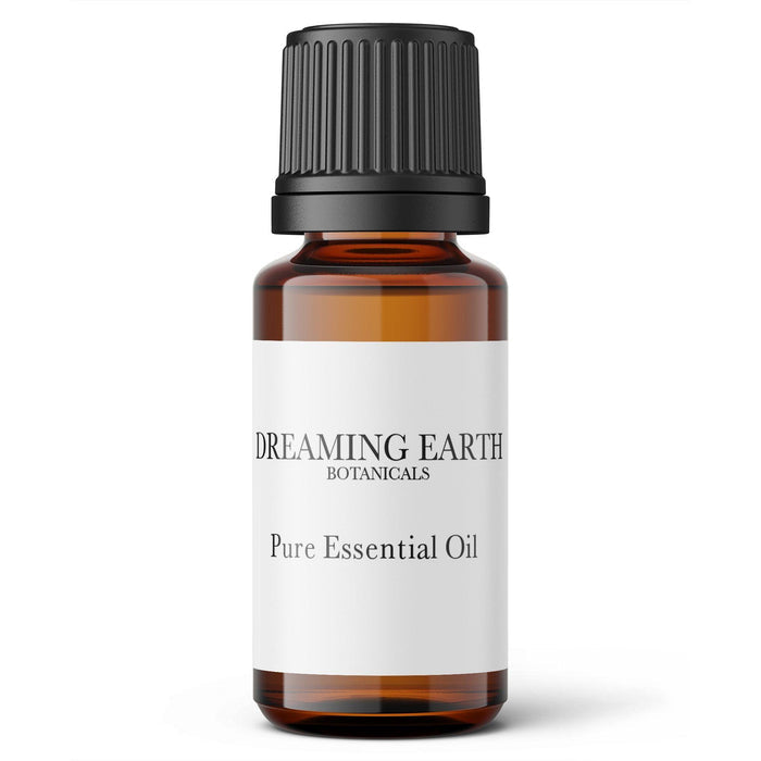 Bay Laurel Essential Oil - Dreaming Earth Inc