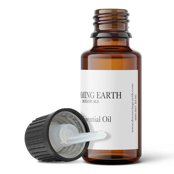 Bay Laurel Essential Oil - Dreaming Earth Inc