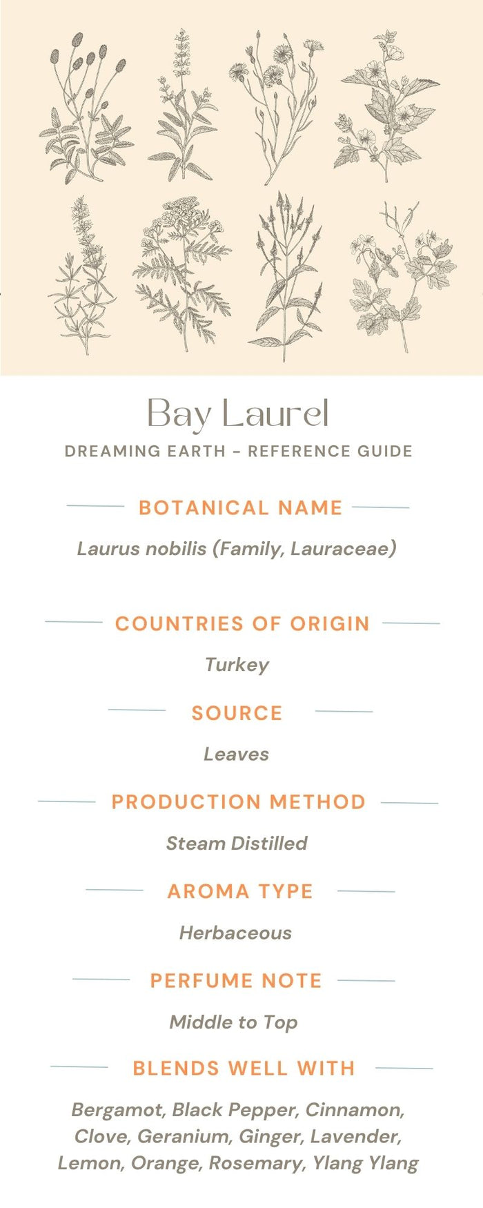 Bay Laurel Essential Oil