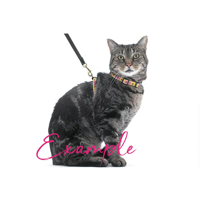 Bumble Bee Cat Collar