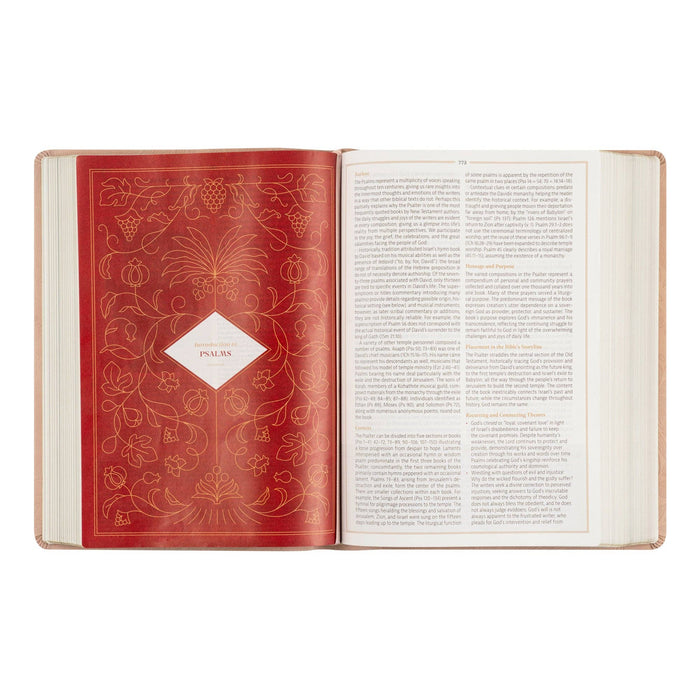 CSB Women's Study Bible: Sonora Theme