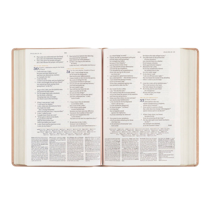 CSB Women's Study Bible: Sonora Theme