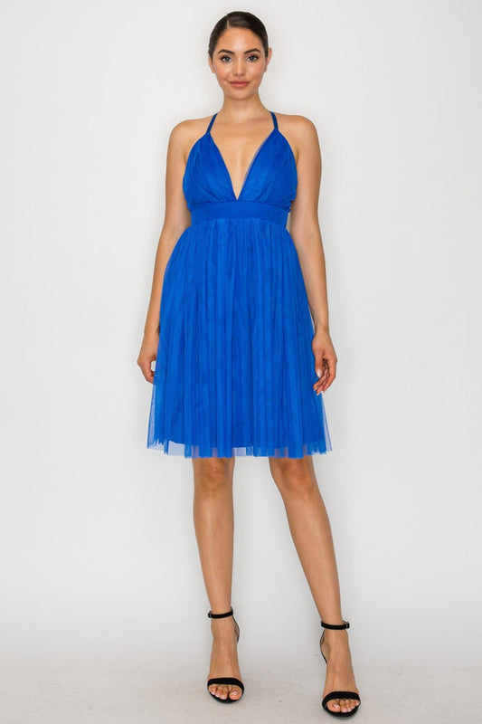 Deep Plunging V-neck Mesh Mini Dress