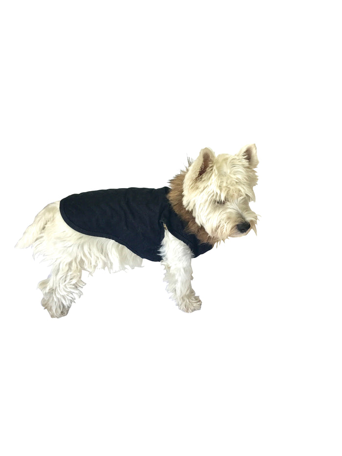 Doggie Denim Coat