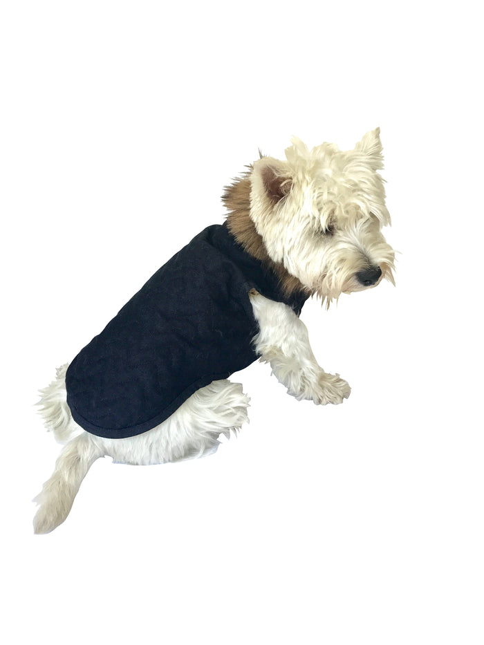 Doggie Denim Coat