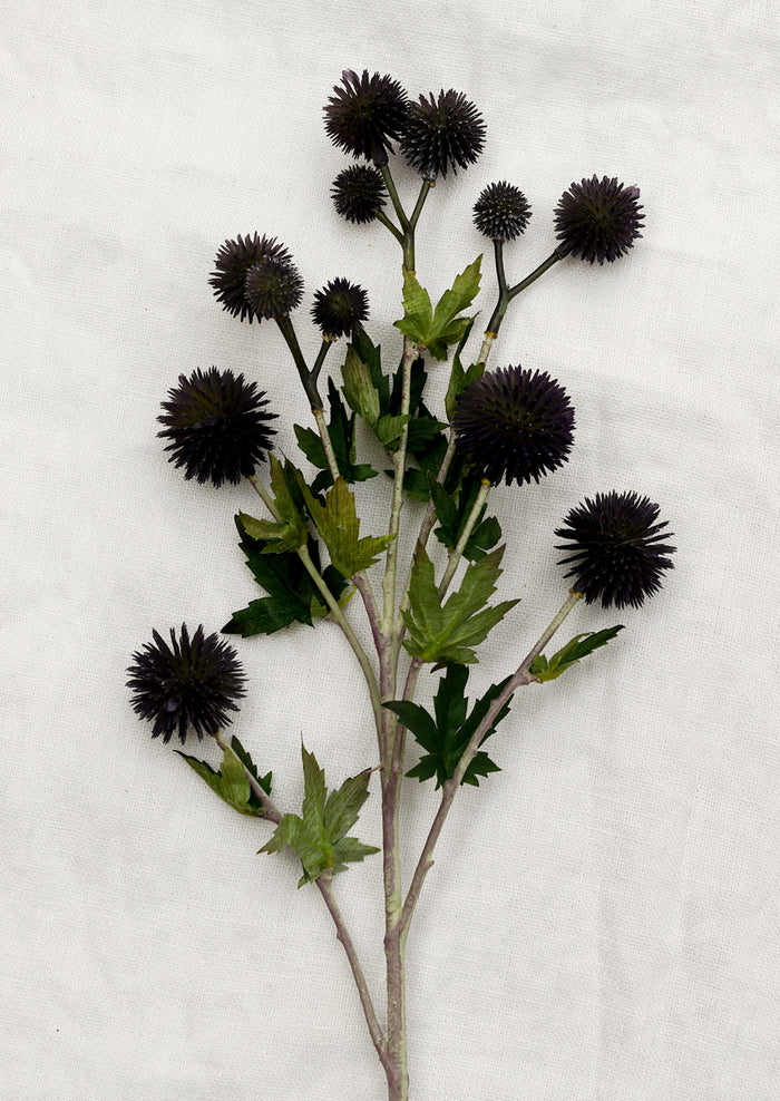 A faux spray of globe thistle flower in dark blackish color.