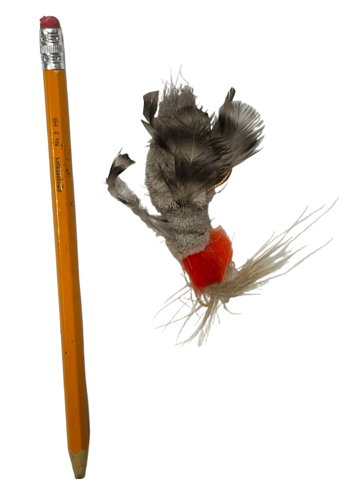 Natural Housefly