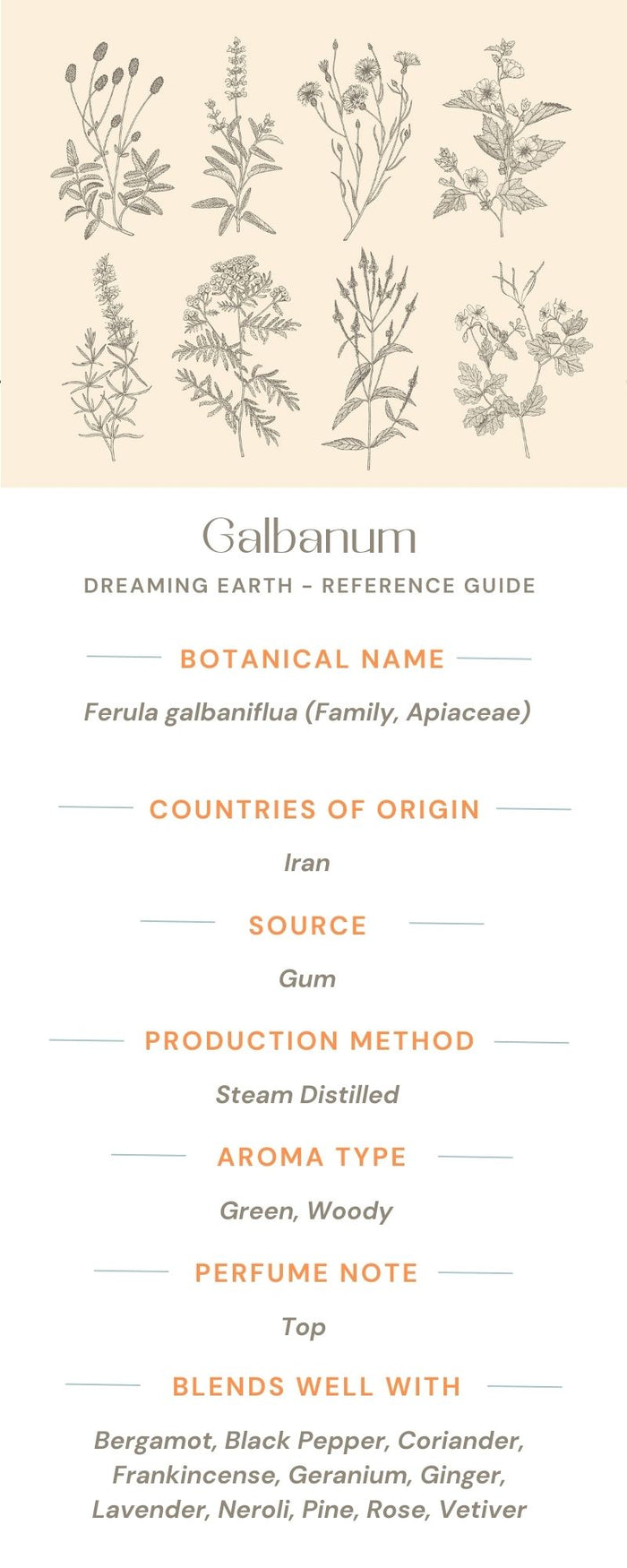 Galbanum Essential Oil