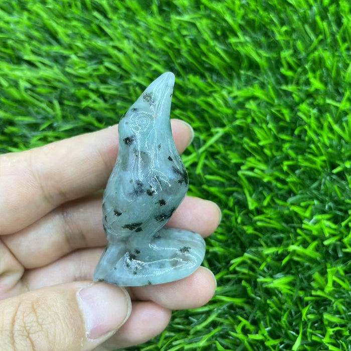 Kiwi Jasper