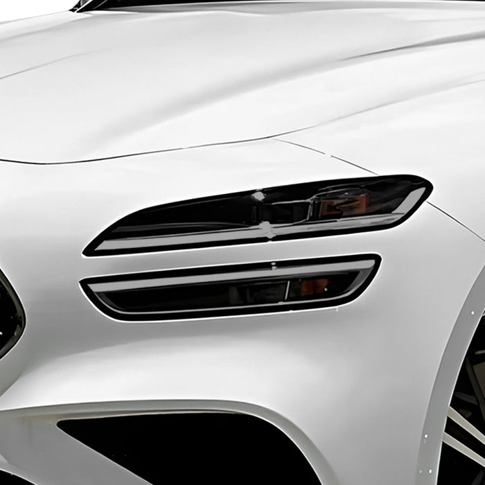 Front Tint Kit (LIGHT)