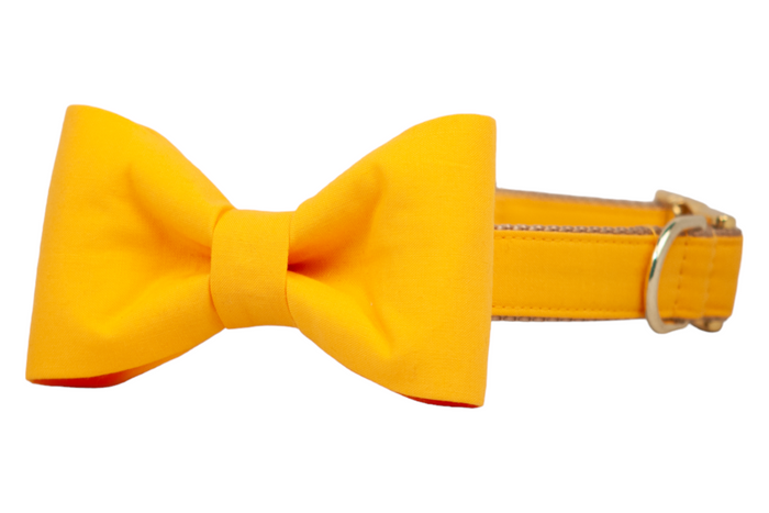 Golden Yellow Bow Tie Dog Collar - Crew LaLa