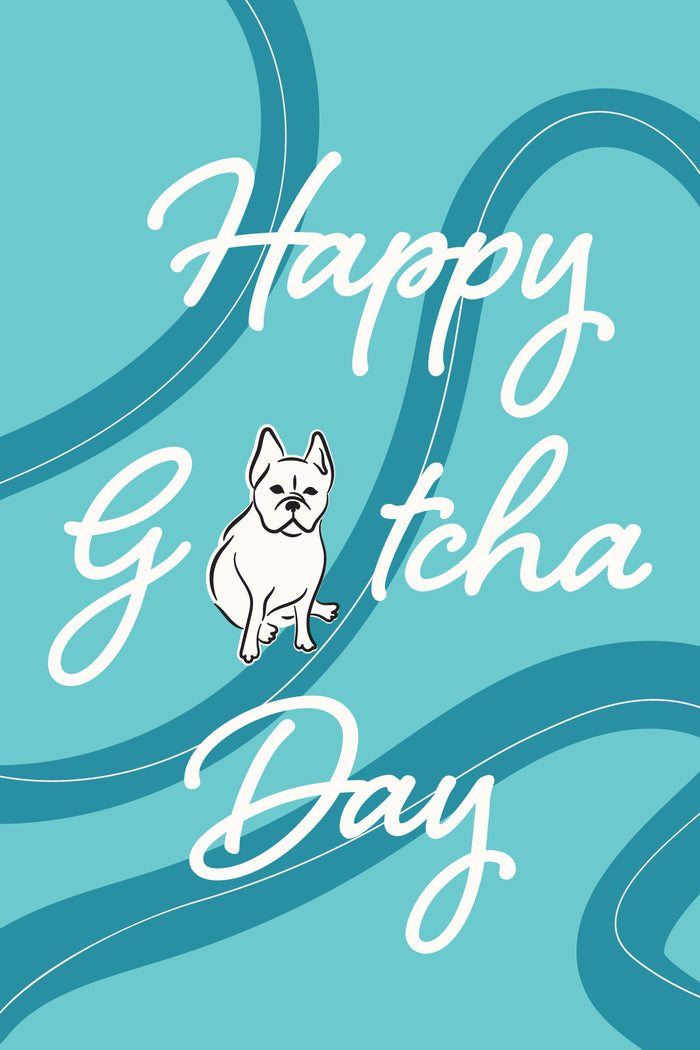 Happy Birthday 3 Dog Greeting Cards by Chloe Cole