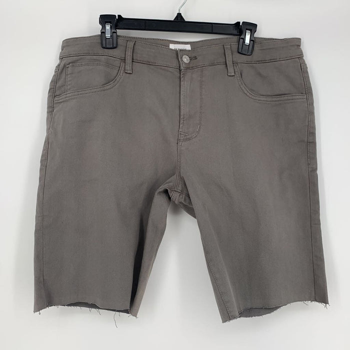 Hudson Shorts NWT
