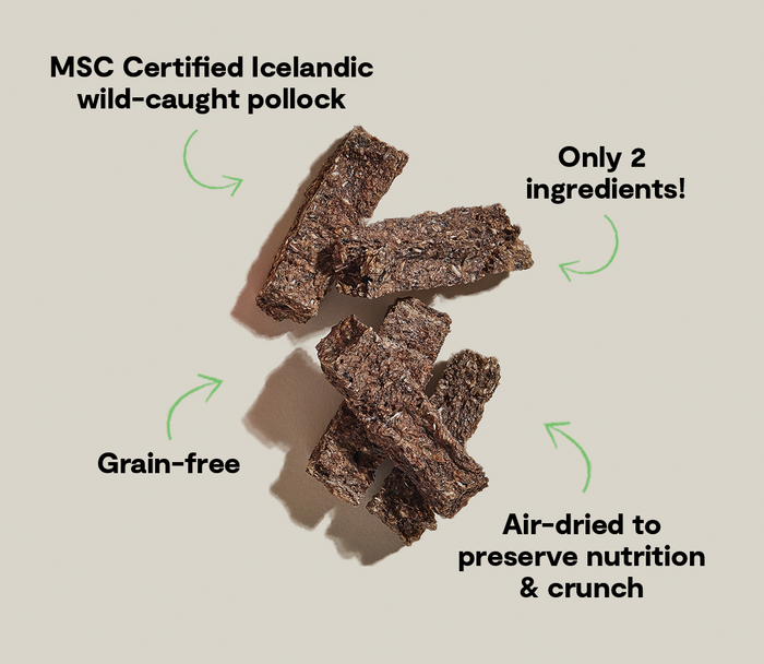 Icelandic Air-Dried Pollock & Blueberry Dog Treat Bars