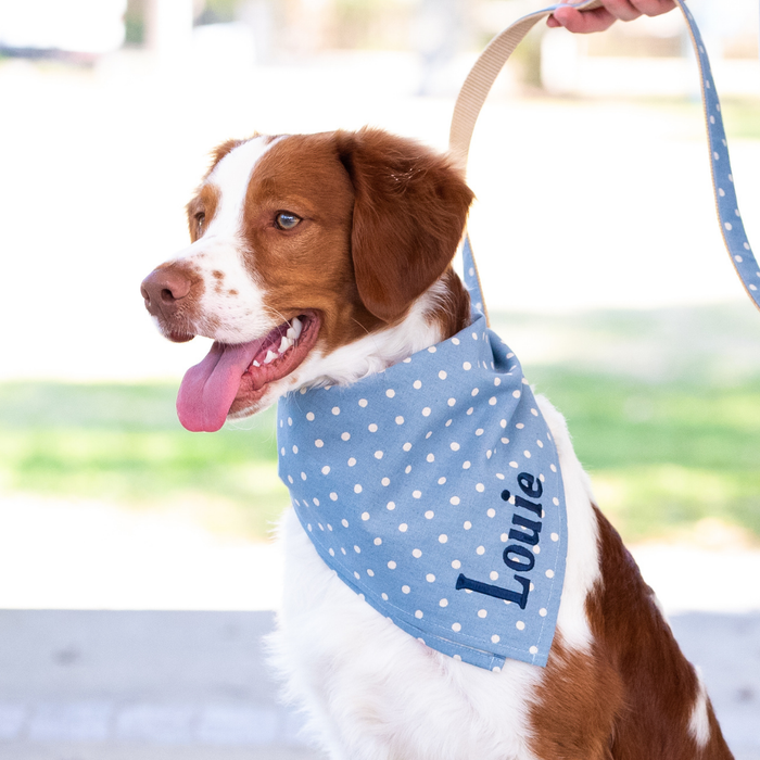 Brown and white dog wearing a light blue bandana with ivory white polka dots and the name “Louie” embroidered in navy script, paired with a matching leash held by a hand.