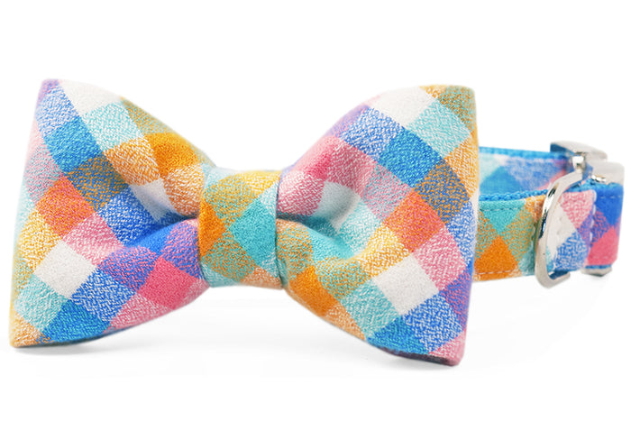 A vibrant dog collar with a matching structured bow tie in multicolor pastel plaid — featuring cheerful shades of pink, blue, orange, with polished hardware.