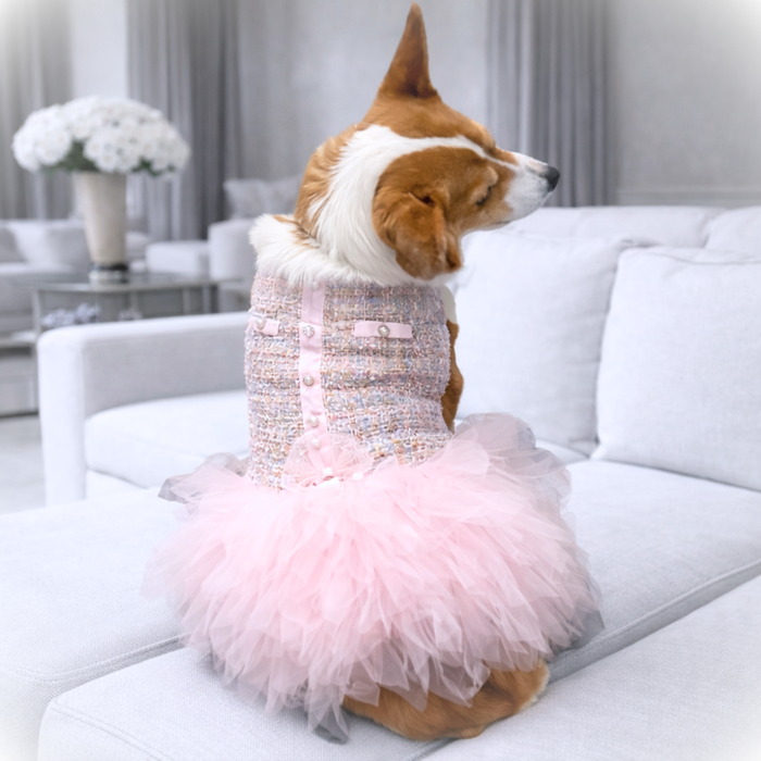 Mademoiselle Tweed Dog Dress