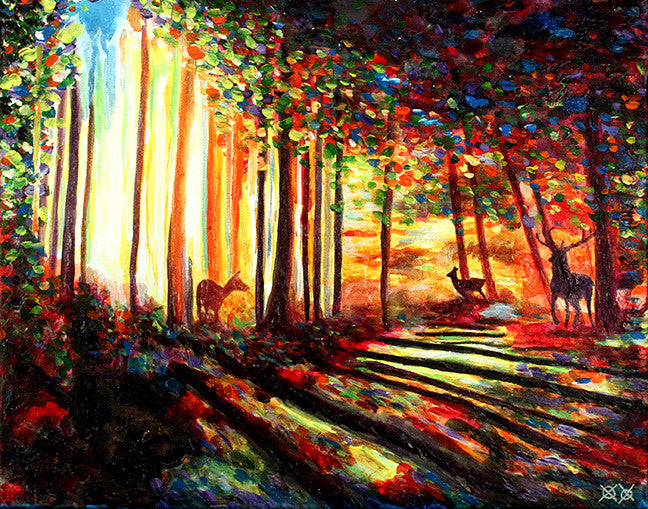 Morning Forest