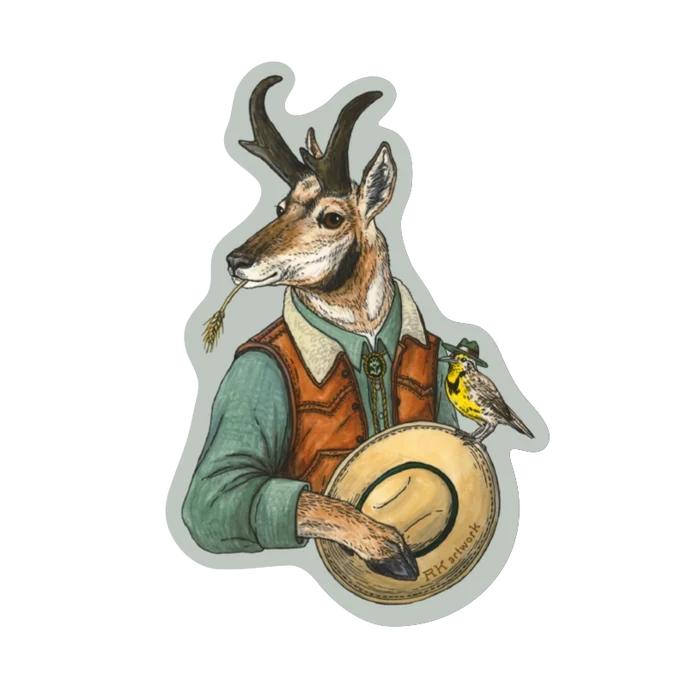 WESTERN PRONGHORN