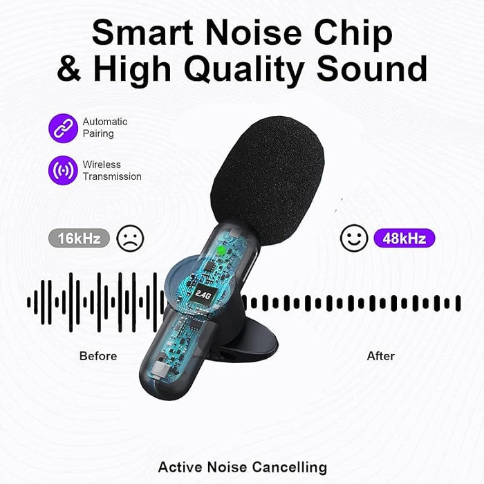 Outdoor Wireless Microphone Set
