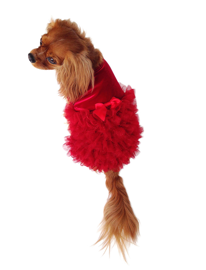 Red Carpet Ruffle Dress