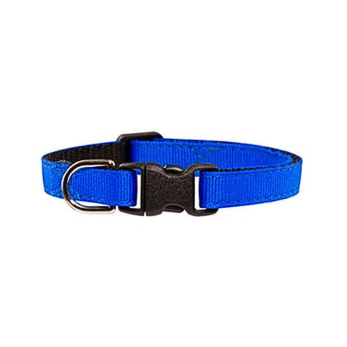 Royal Blue Cat Collar