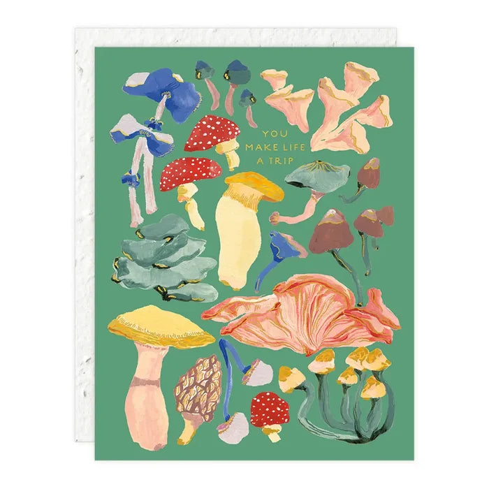Shrooms - Love & Friendship