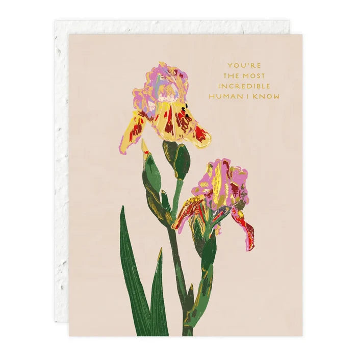 Whimsy Bloom - Love & Friendship