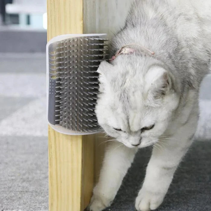 Self Groomer With Catnip - Dog.Dog.Cat.
