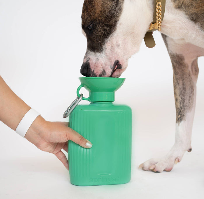 Springer - Dog Travel Water Bottle | Growler 44 oz - Dog.Dog.Cat.