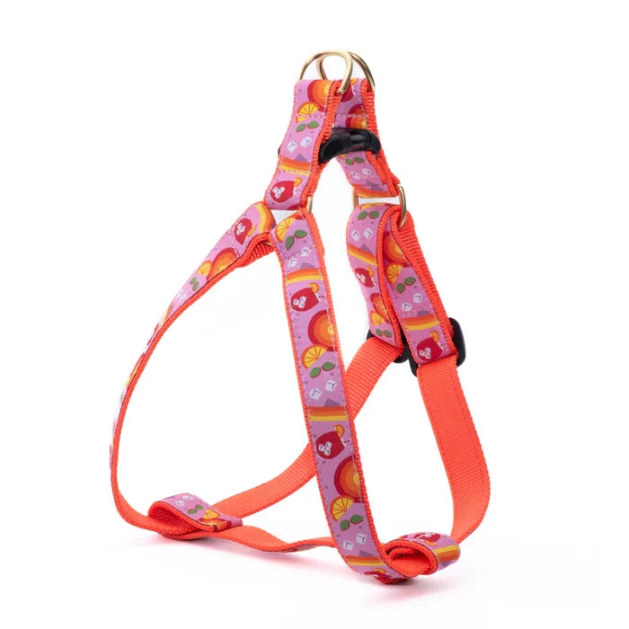 Spritz Dog Harness (optional Leash)