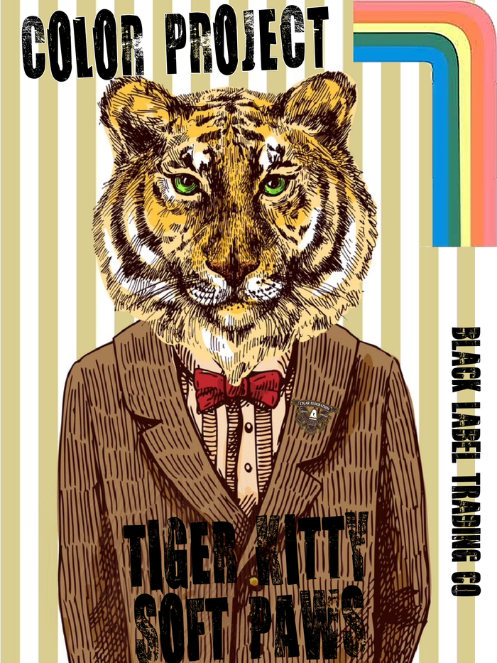 Tiger Kitty Soft Paws 2022