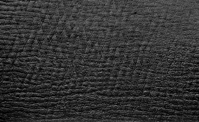 Vinyl Spider / Dino Black Grain Long