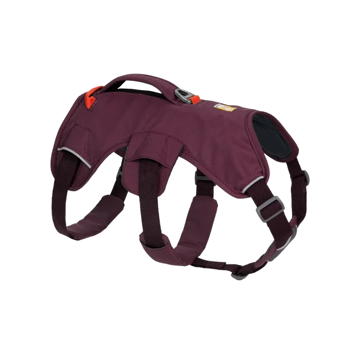 Web Master Dog Harness w/ Handle