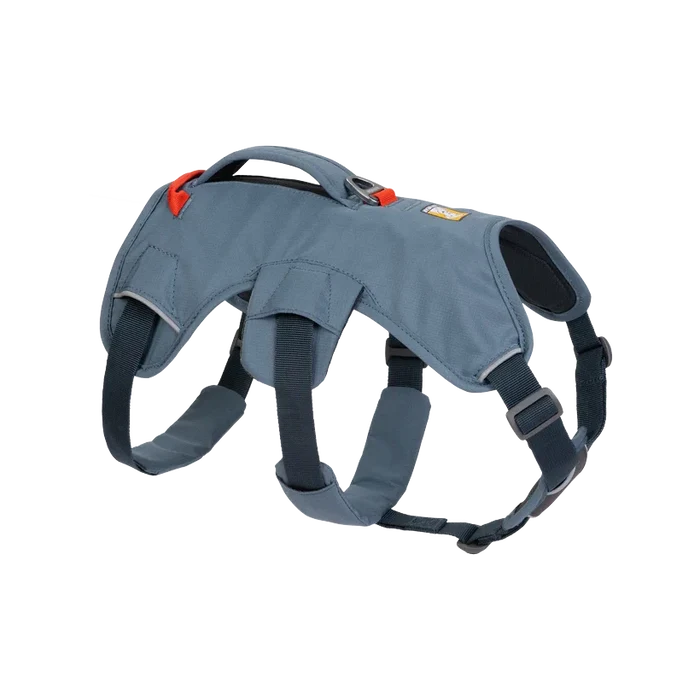 Web Master Dog Harness w/ Handle