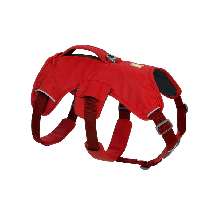 Web Master Dog Harness w/ Handle