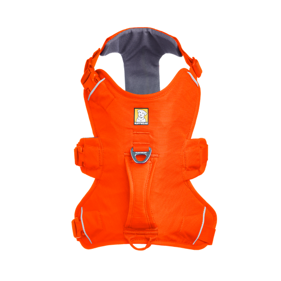 Web Master Dog Harness w/ Handle