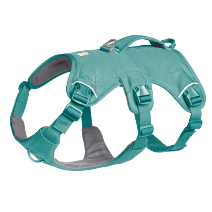 Web Master Dog Harness with Handle