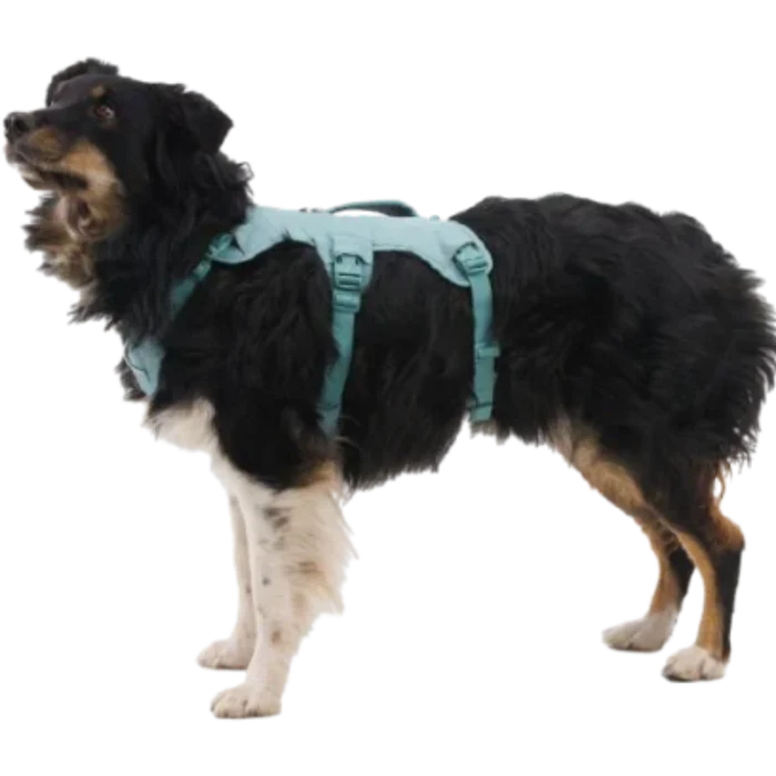 Web Master Dog Harness with Handle